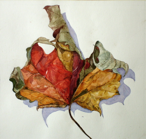 Furled Leaf